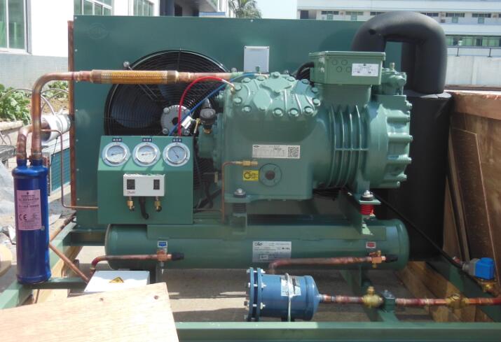bitzer compressor condensing unit for cold room
